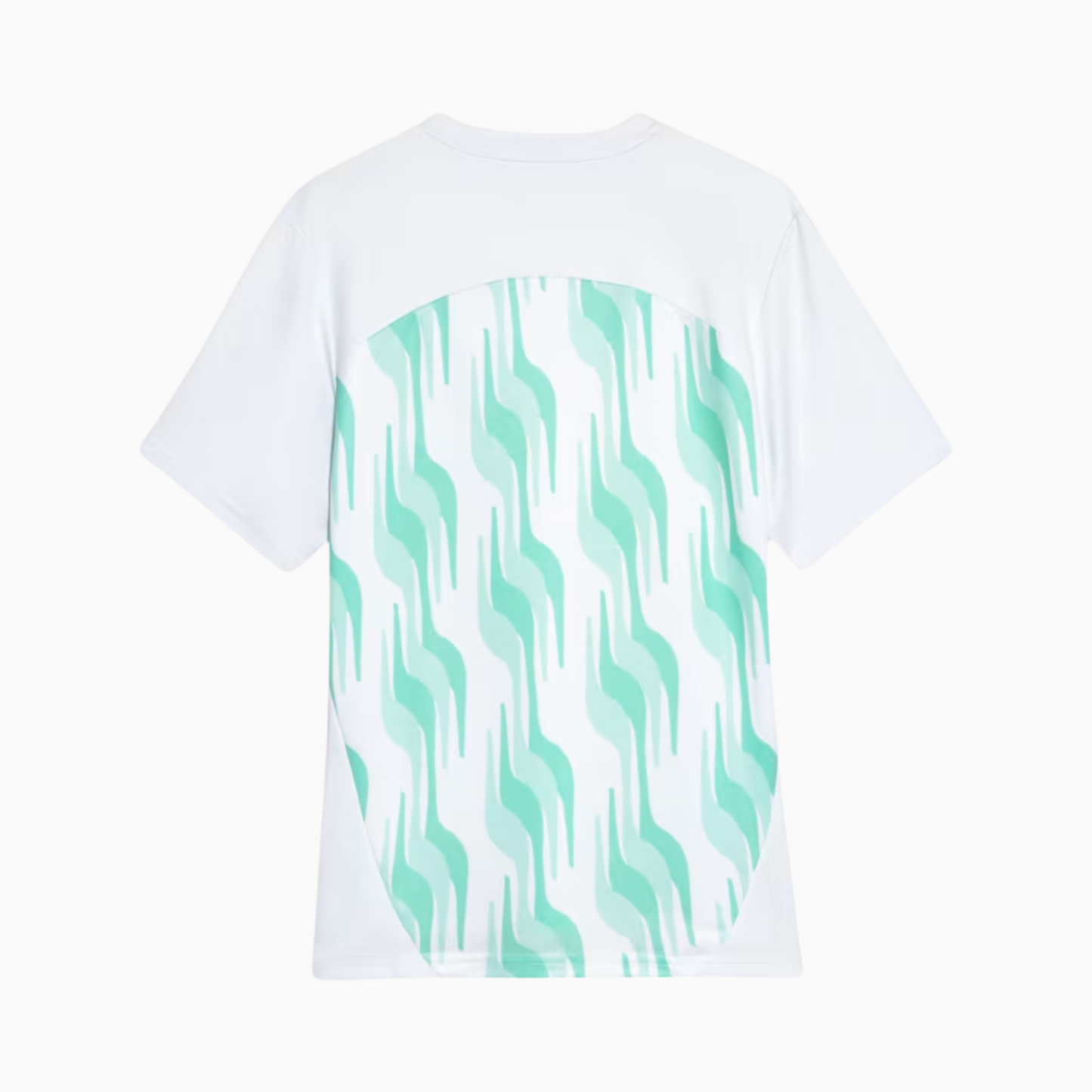 Camisa Puma Palmeiras 2025/26 Pré-Jogo - foto 2