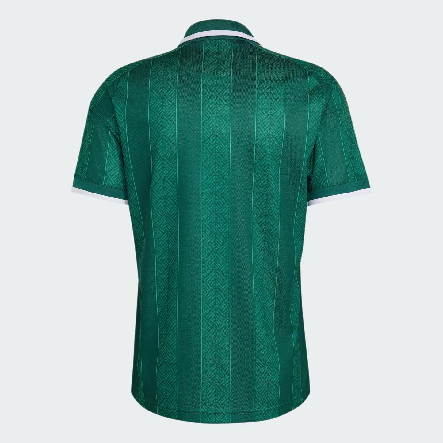 Camisa África do Sul 2026/27 I - foto 6