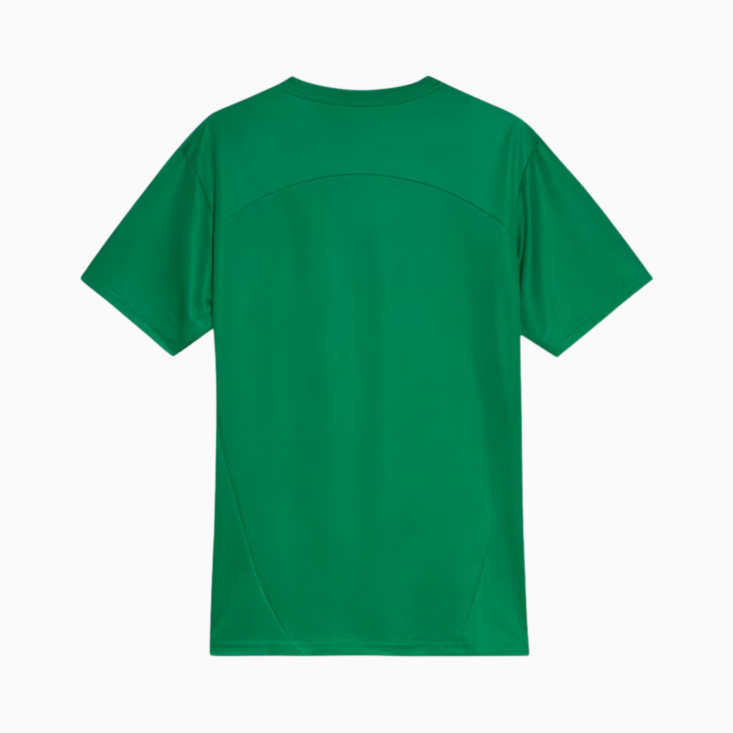 Camisa Palmeiras 2025 – Treino - foto 2