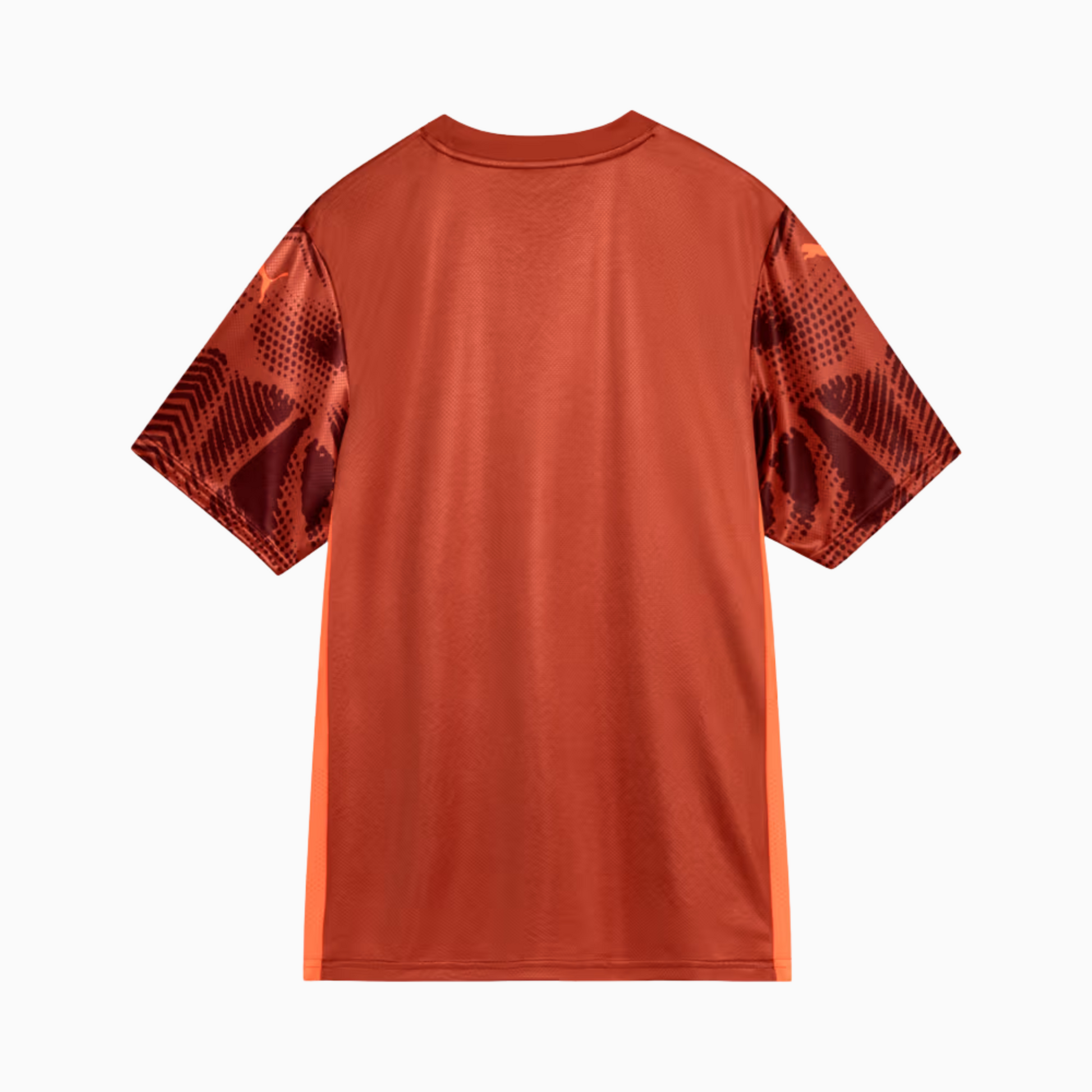 Camisa Goleiro Palmeiras 2025/26 II – Torcedor - foto 2