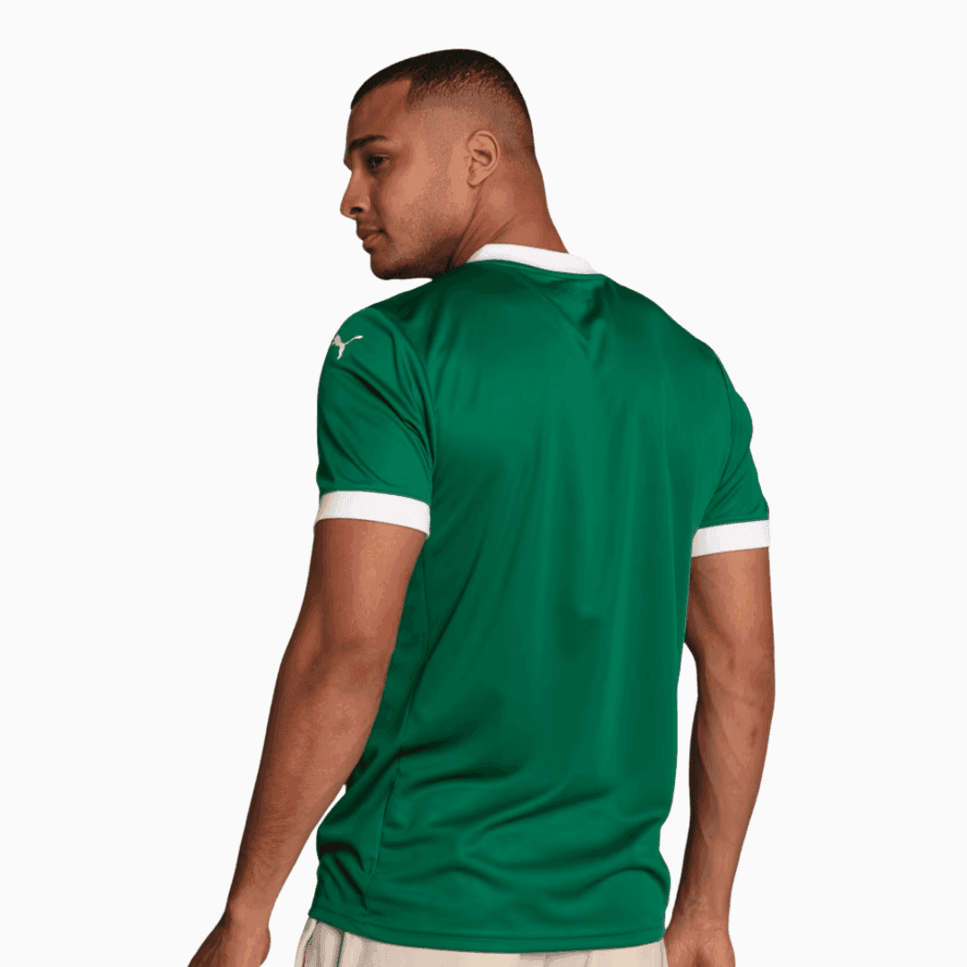 Camisa Puma Palmeiras 2025/26 I Torcedor - foto 7