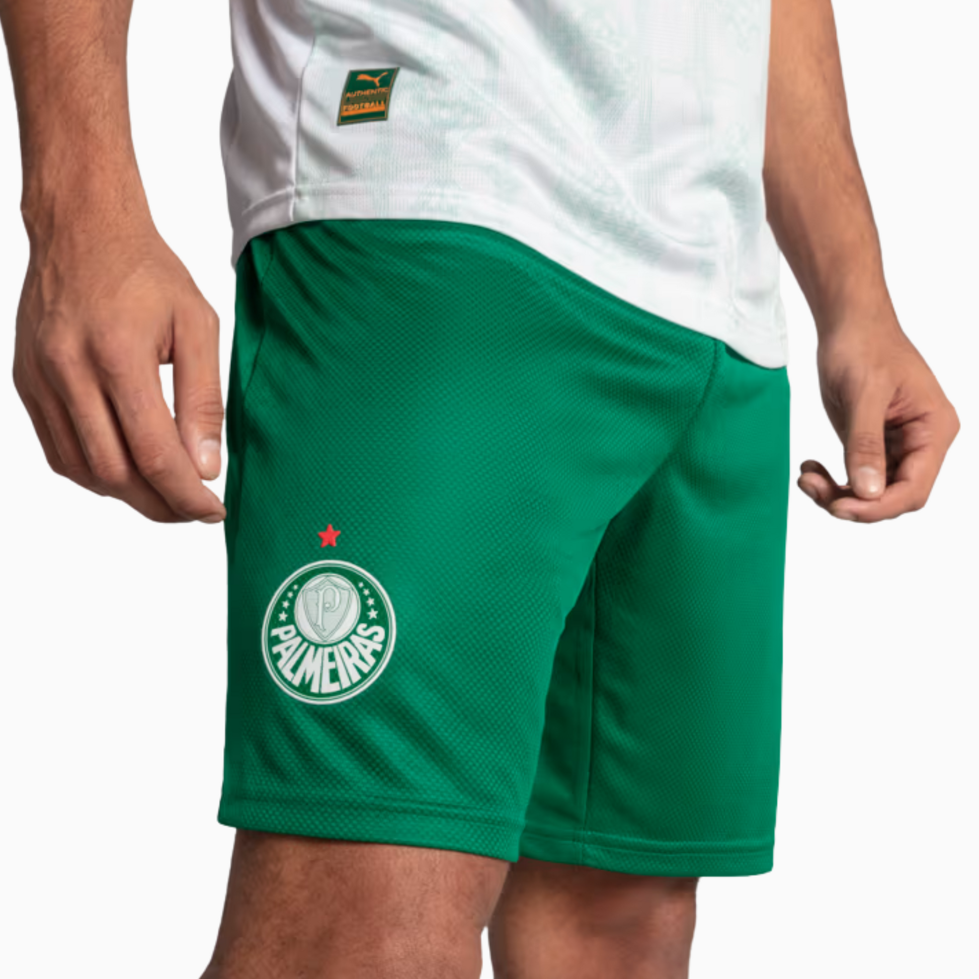 Shorts Palmeiras 2025 II – Torcedor - foto 3