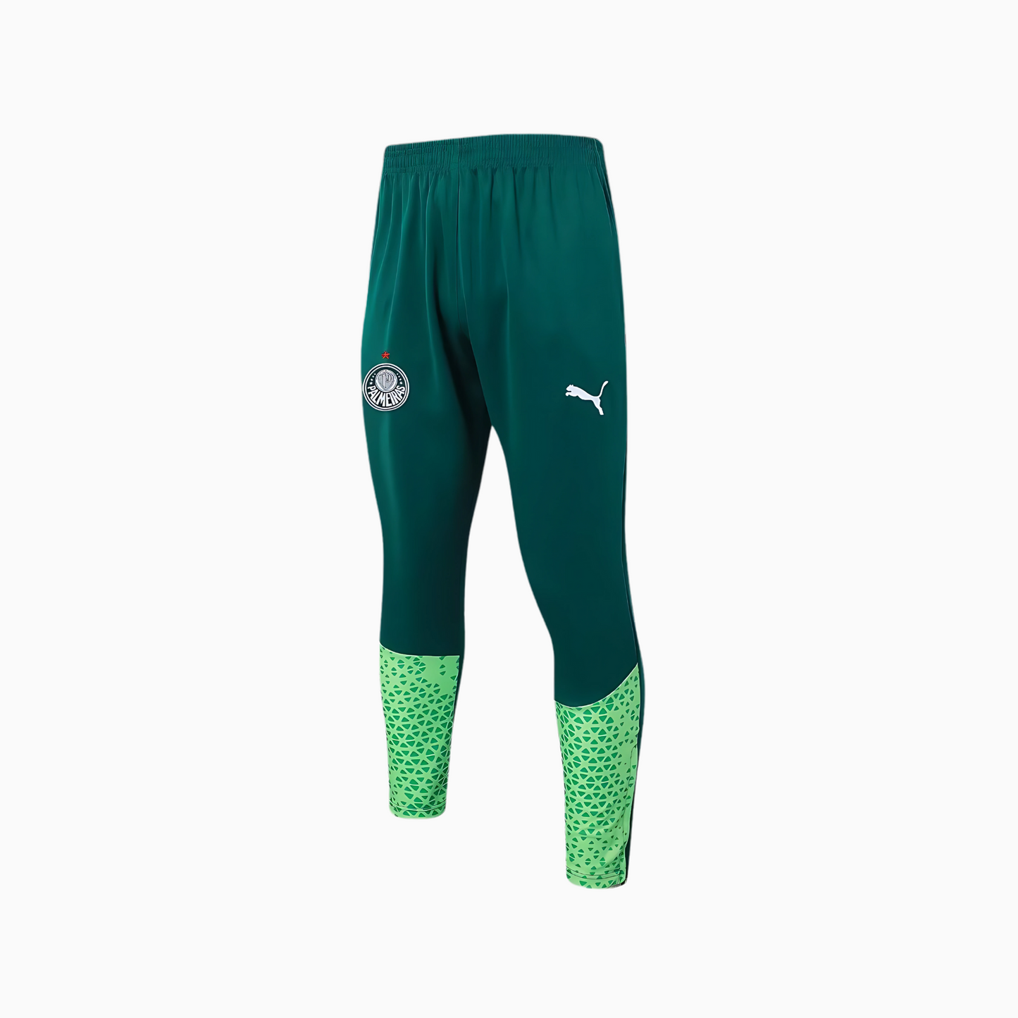 Conjunto de Treino Puma Palmeiras 2024/25 II – Masculino - foto 3