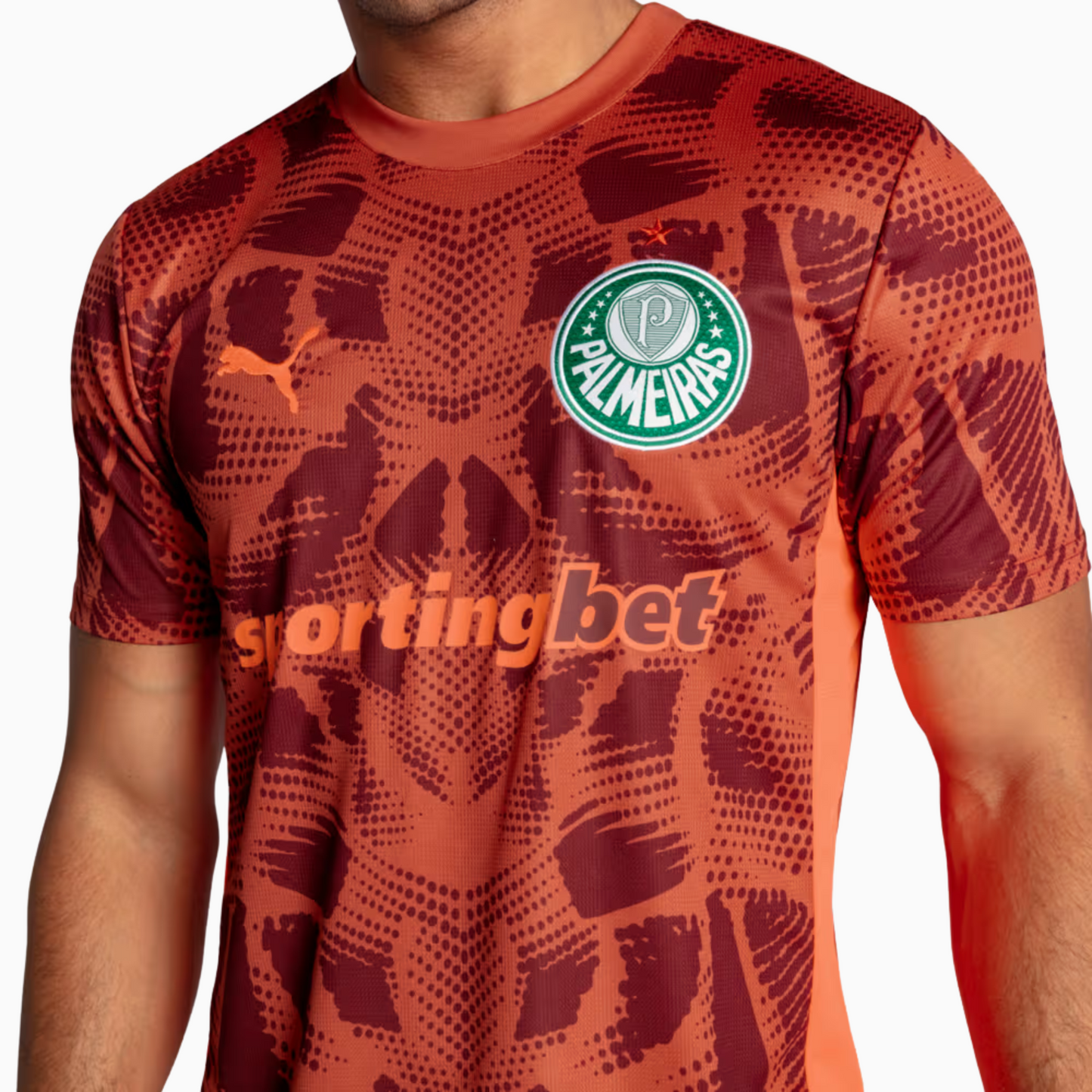 Camisa Goleiro Palmeiras 2025/26 II – Torcedor - foto 4