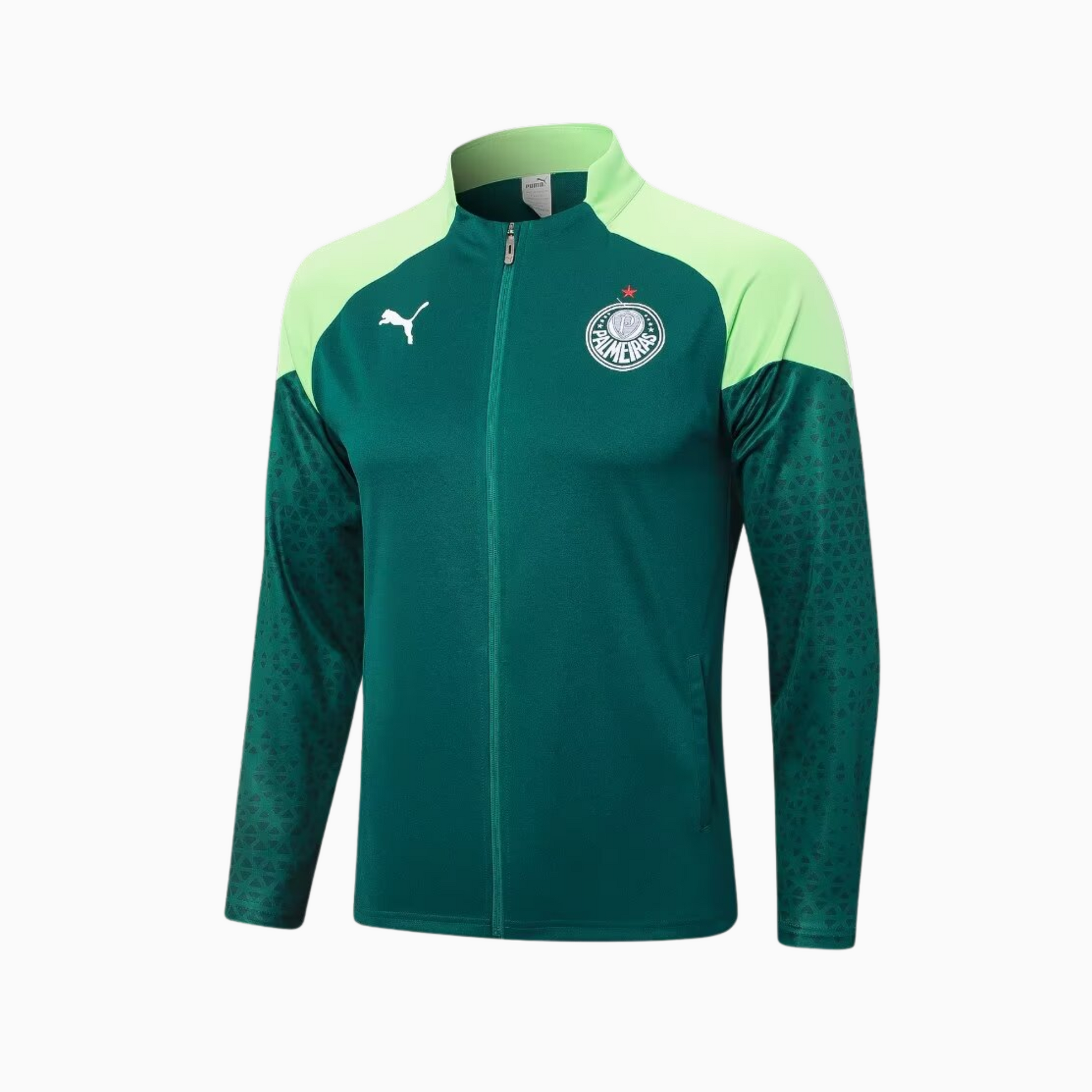 Conjunto de Treino Palmeiras 2024/25 I – Masculino - foto 2