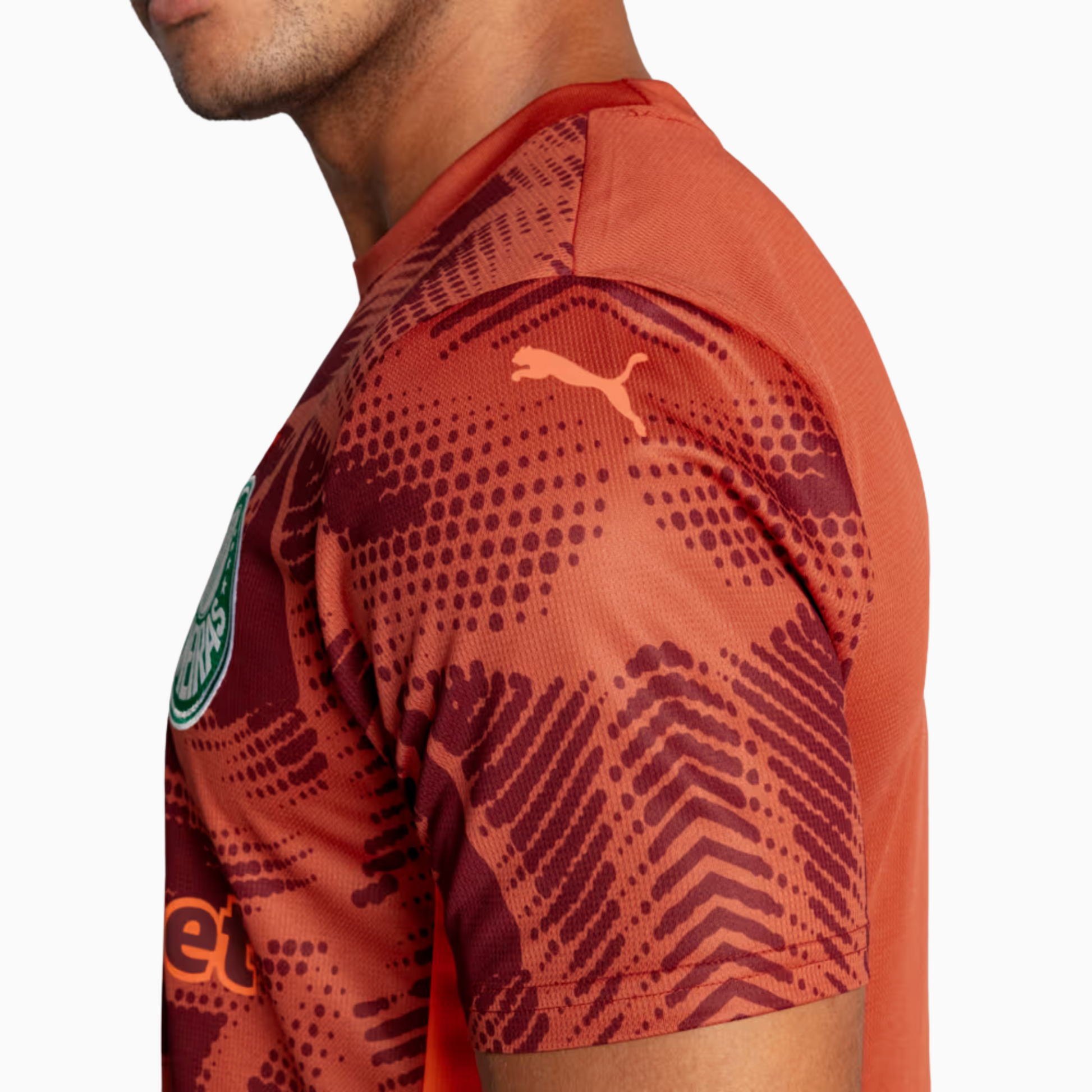 Camisa Goleiro Palmeiras 2025/26 II – Torcedor - foto 5