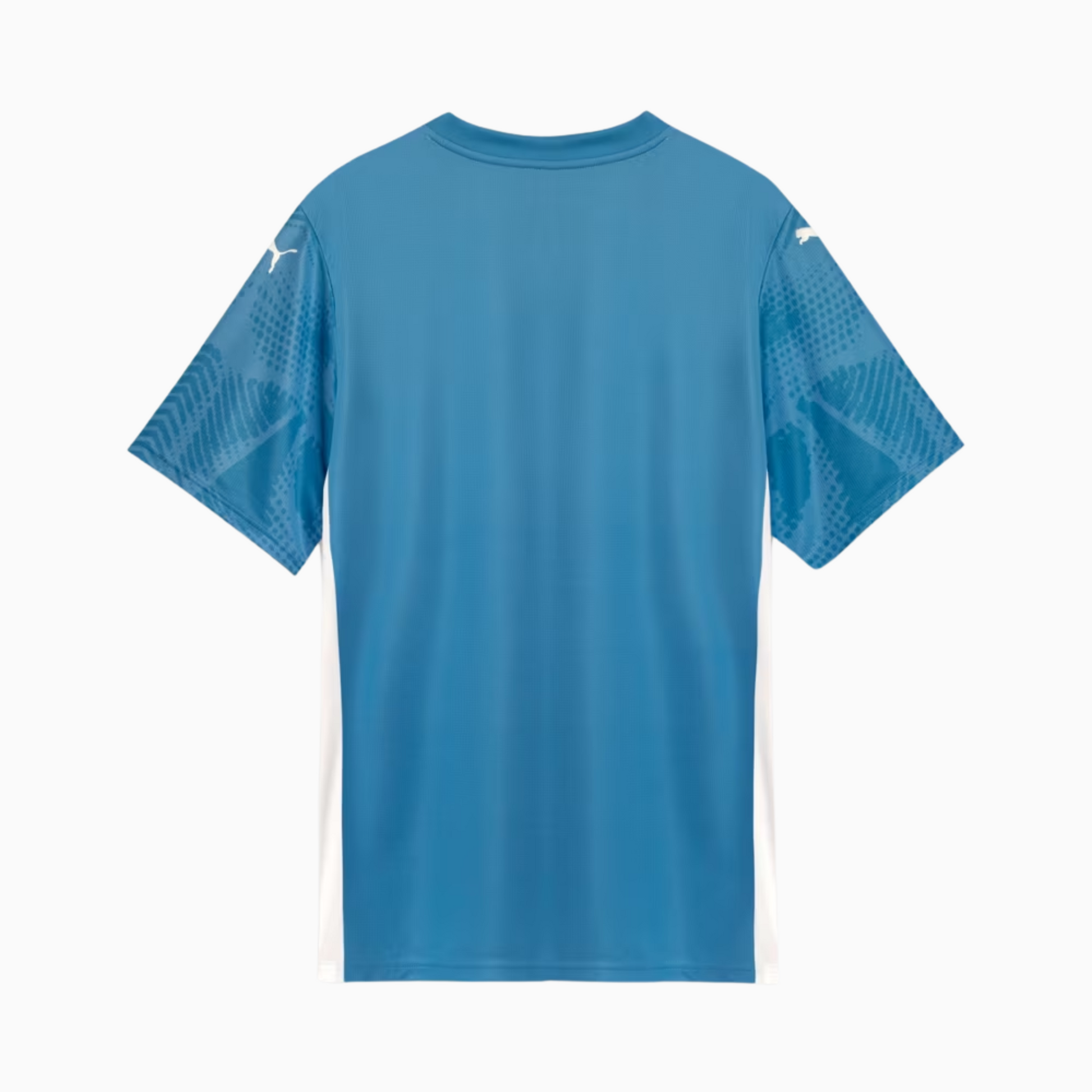 Camisa Goleiro Palmeiras 2025 I – Torcedor - foto 2