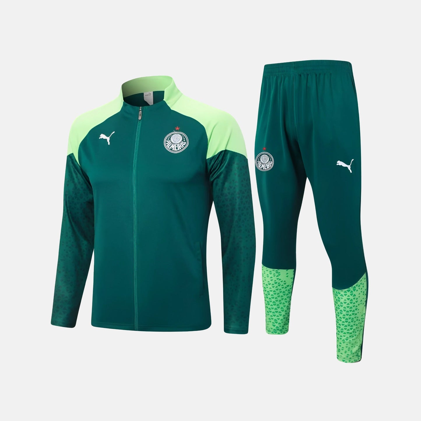 Conjunto de Treino Palmeiras 2024/25 I – Masculino - foto 1