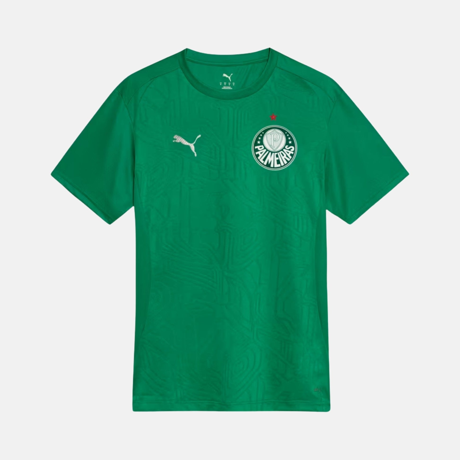 Camisa Palmeiras 2025 – Treino - foto 1