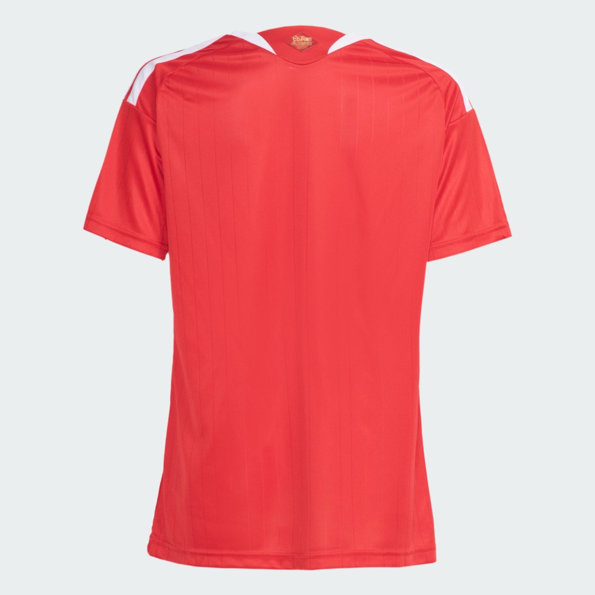 Camisa Feminina Internacional 2026/27 I - foto 2