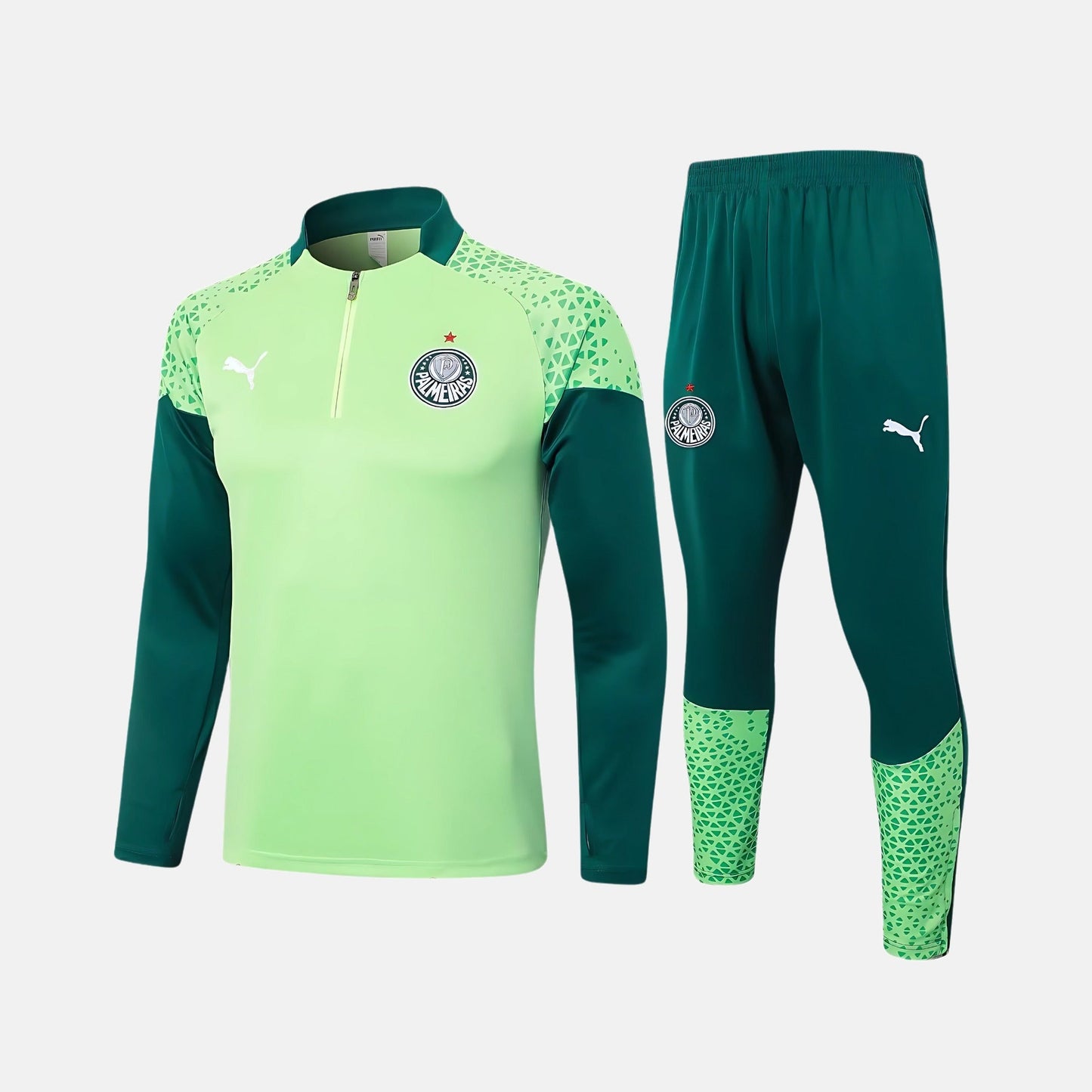 Conjunto de Treino Puma Palmeiras 2024/25 II – Masculino - foto 1
