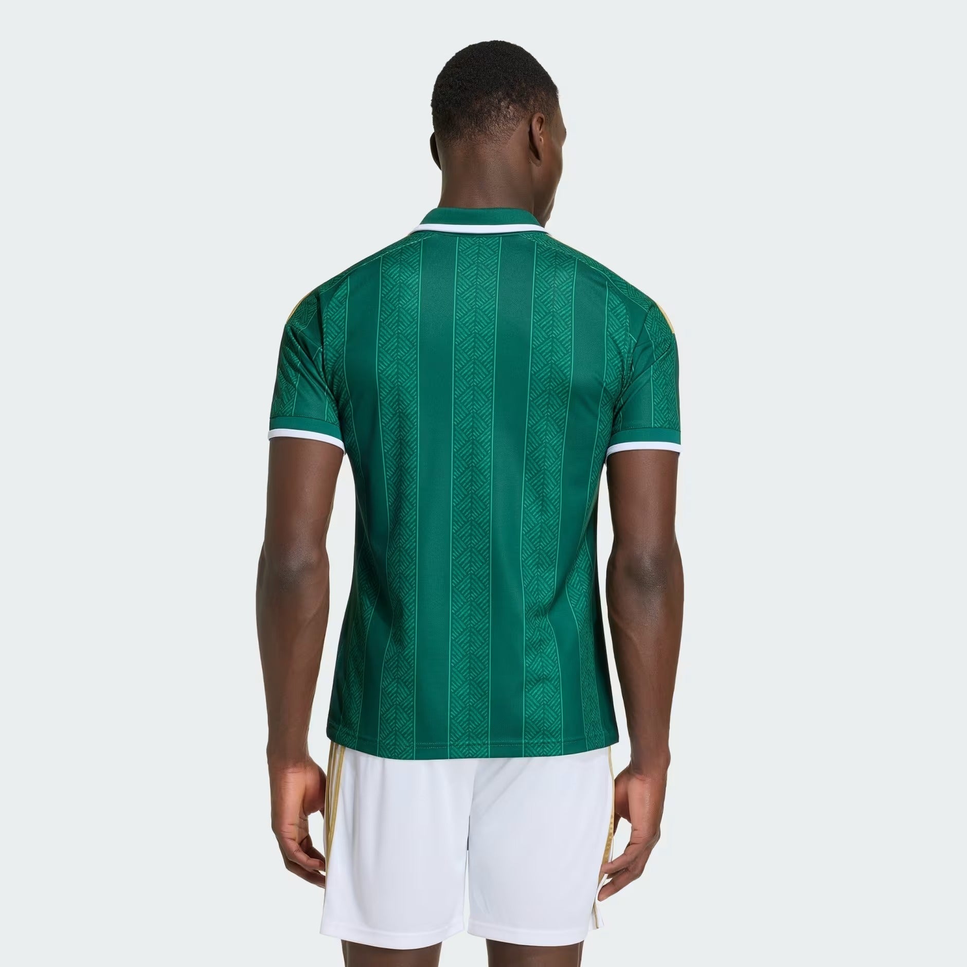 Camisa África do Sul 2026/27 I - foto 2