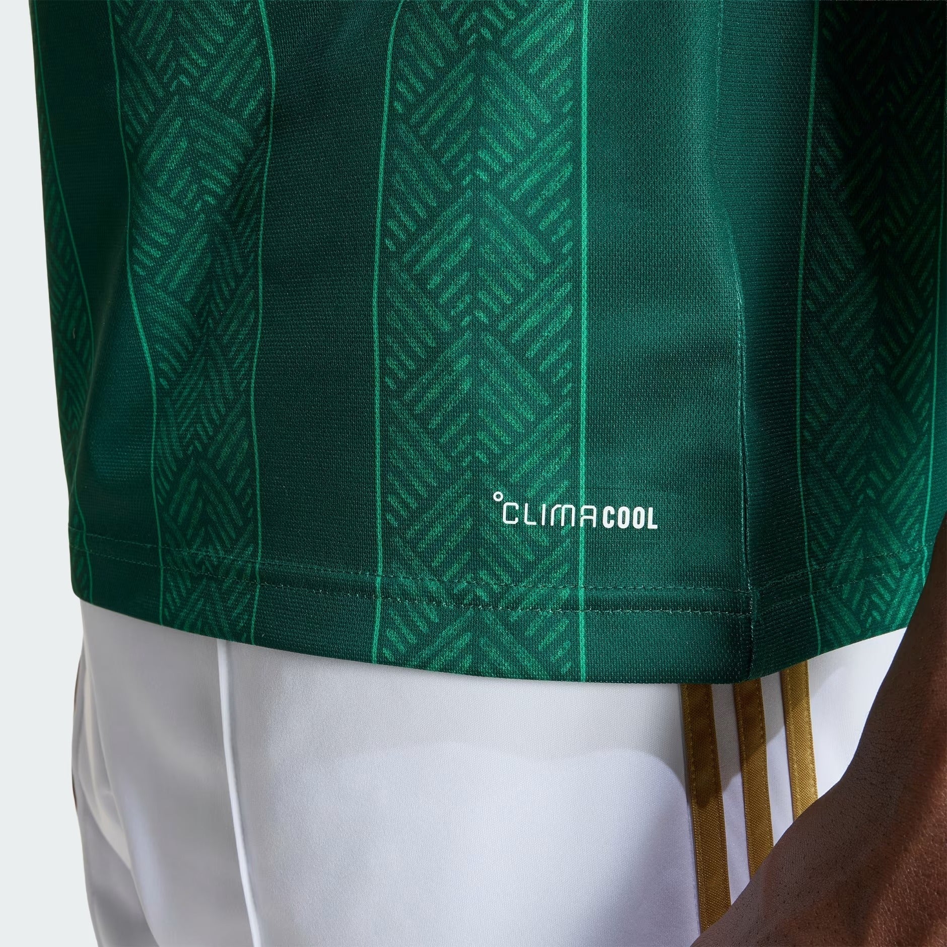 Camisa África do Sul 2026/27 I - foto 3