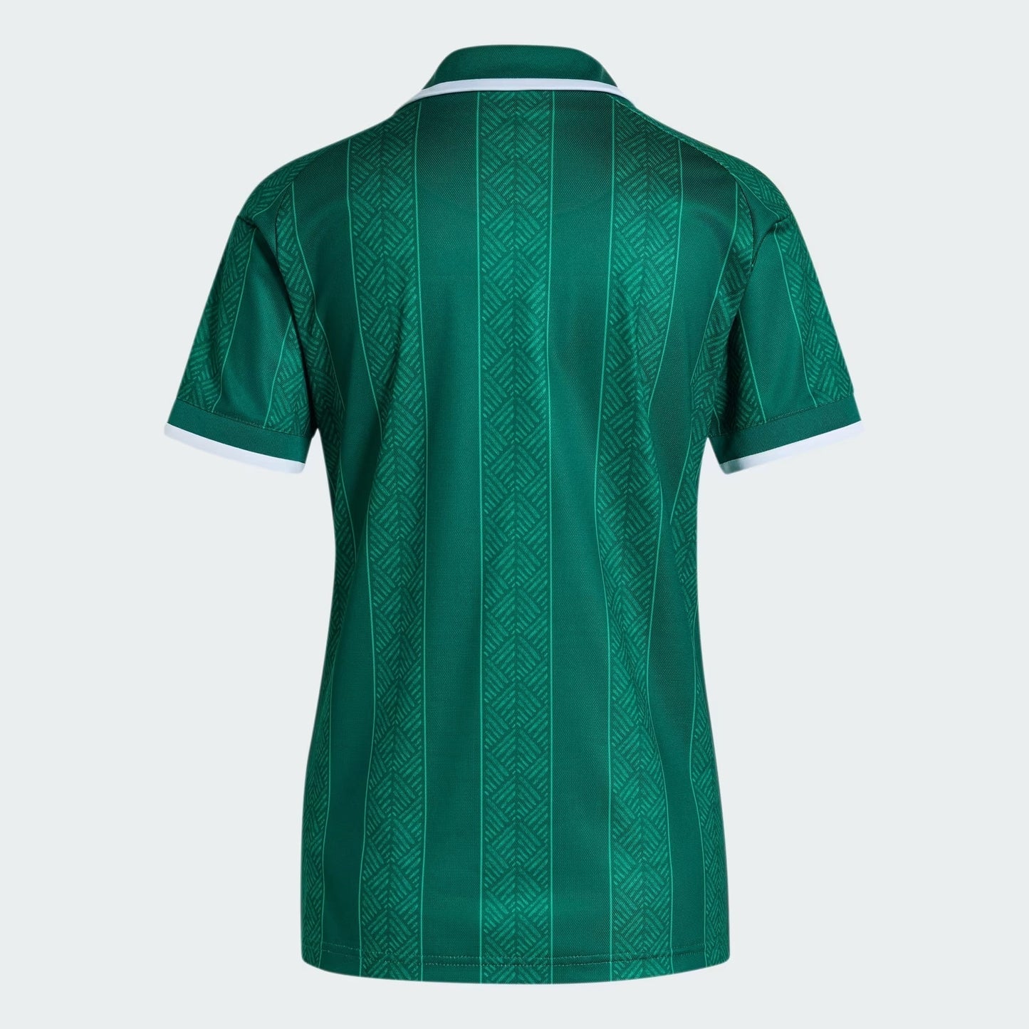 Camisa Feminina África do Sul 2026/27 I - foto 5