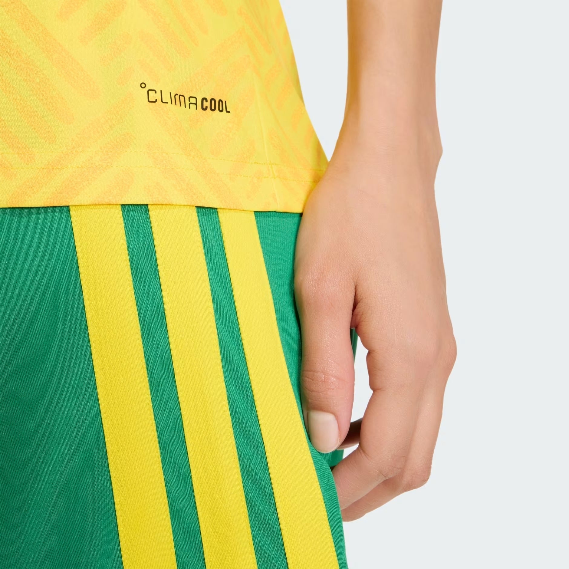 Camisa África do Sul 2026/27 II - foto 3