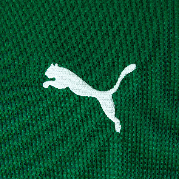 Conjunto Infantil Palmeiras 2026/27 I - foto 5
