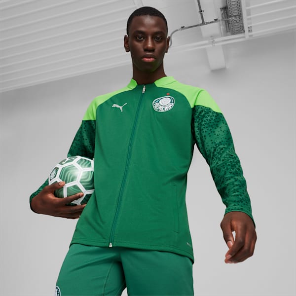 Jaqueta Palmeiras Treino - foto 1