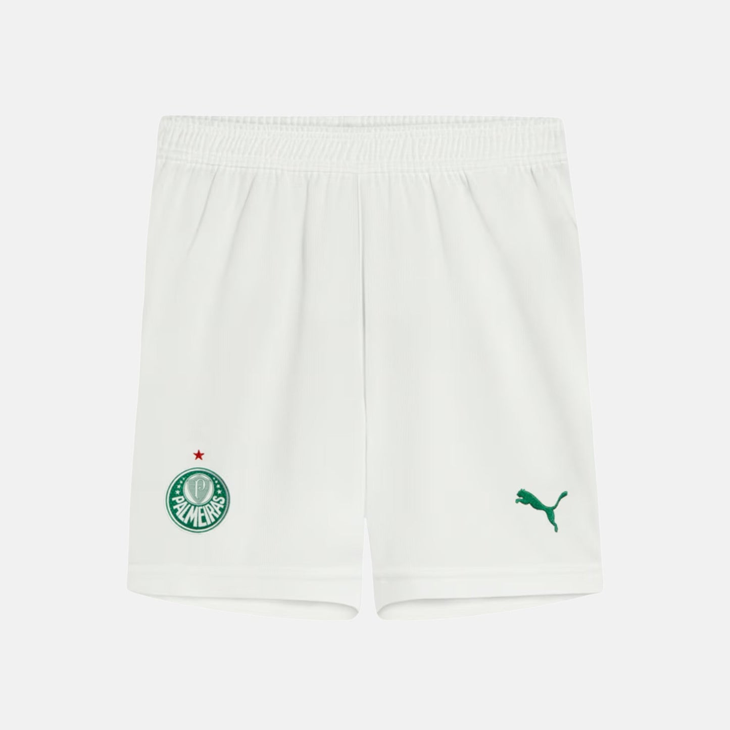 Shorts Palmeiras 2025 I – Torcedor - foto 1