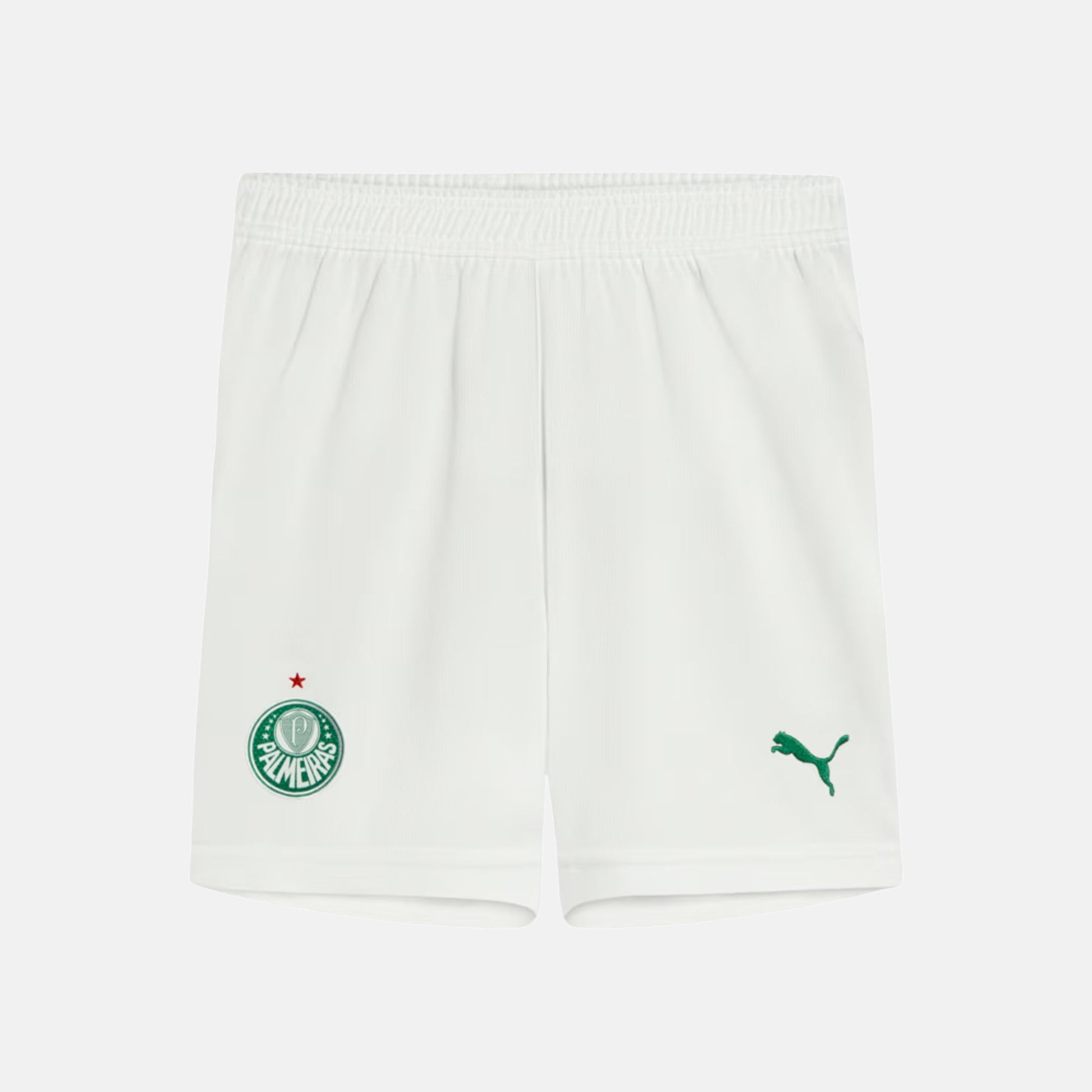 Shorts Palmeiras 2025 I – Torcedor - foto 1