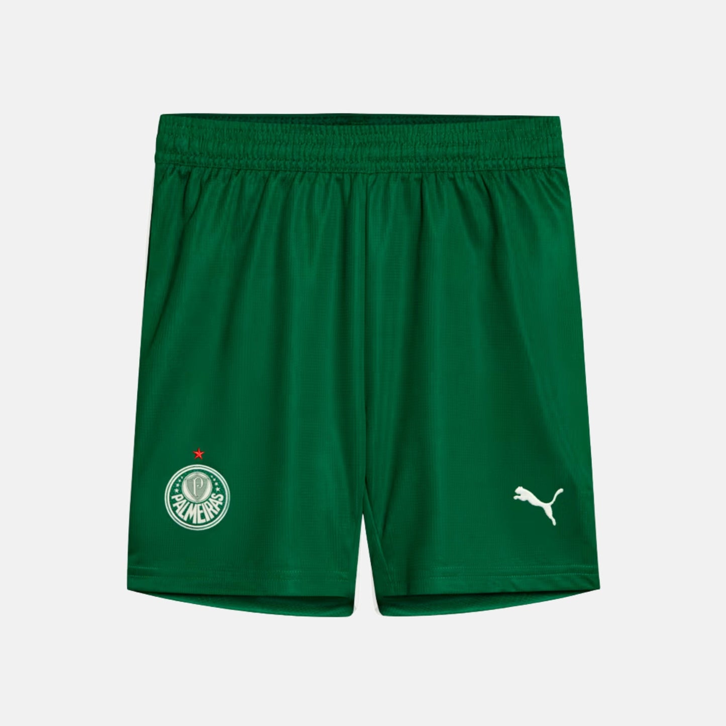 Shorts Palmeiras 2025 II – Torcedor - foto 1