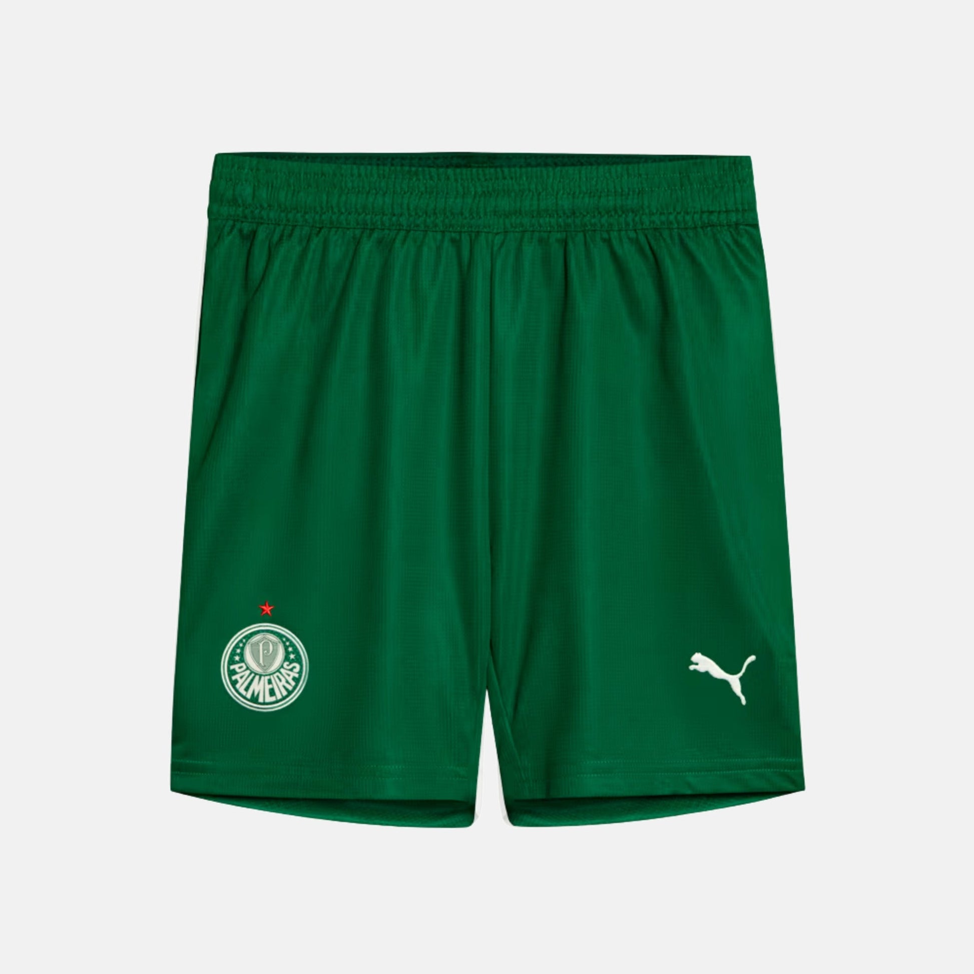 Shorts Palmeiras 2025 II – Torcedor - foto 1